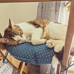 Thomas Brose - @yakobyalcn9 - Instagram