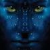Thomas Brose - Facebook