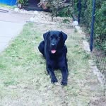 Thomas Brösel - @broselthomas - Instagram