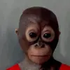 ThomasBrunt - @thomasbrunt - TikTok