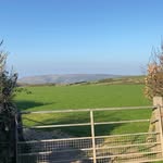 Thomas Brummitt - @thomas_brummitt - Instagram
