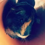 T.Buchner - @_thomas_buchner - Instagram