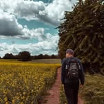Thomas Buchner - @bombofuzz - Instagram