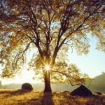 Thomas Buchner - @der.buchner - Instagram
