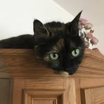 Thomas Buchner - @buchner659 - Instagram