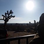 Thomas Buck - @drfoxwheelies - Instagram