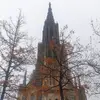 Thomas Buck - @thomas.buck - TikTok