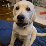 Thomas Buckle - @thomasbuckle.uk - Instagram