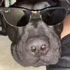 Thomas Bucko - @thomasbucko - TikTok