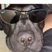 Thomas Bucko - Facebook