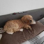 Thomas Budde - @budde7904 - Instagram