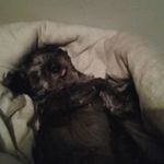Thomas Budden - @buddenthomas - Instagram