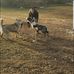 Thomas Bull Memorial Park - Facebook