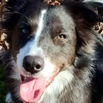 Thomas Bumgarner - @scurvydawg1963 - Instagram