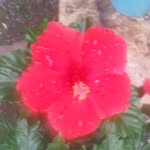ThomasLee Bumgarner - @bumgarnerthomaslee - Instagram