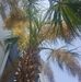 Tom Bunger - Facebook