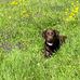 Thomas Burford - Facebook