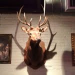 Thomas Monsieur Burgel - @thomasburgel - Instagram
