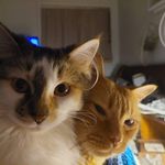 Thomas Burgett - @burgettthomas - Instagram
