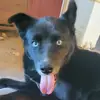 Thomas Burkhalter - @thomasdb062 - TikTok