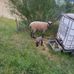 Thomas Burkhalter - Facebook
