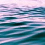 thomas Burkhalter - @catsjewelss - Instagram