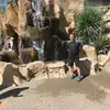 thomasburkhalter3 - @thomasburkhalter3 - TikTok