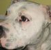 Thomas Burrus - Facebook