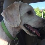 Thomas Stanton Bursey - @thomas262626 - Instagram