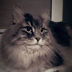 Thomas Bury - @tomaszbury13 - Instagram
