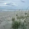 Cindy Thomas Buscher - @cindythomasbusche - TikTok