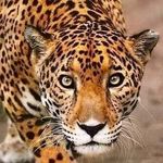Thomas Busha - @bush.a975 - Instagram