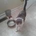 Thomas Bushman - Facebook