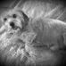 Tom Byerley - Facebook