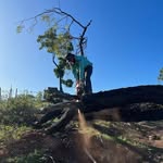 Tom Callinan - @thomas.callian39 - Instagram