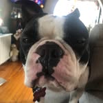 Thomas Camporeale - @camporealet - Instagram