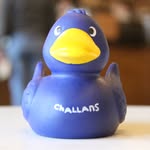 Thomas Le Canard - @lecanardquivoyage - Instagram