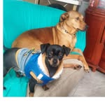 Tomás Alberto Hernández Canedo - @tomasalbertohernandezcanedo - Instagram
