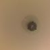 Thomas Cannata - Facebook