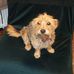 Tom Canney - Facebook