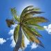 Thomas Canty - Facebook