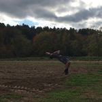 Thomas Caouette - @swift.flips - Instagram