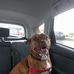 Tom Caporale - Facebook