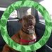 Tom Caporale - Facebook