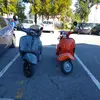 Thomas Cappelletti - @thomas.cappellett - TikTok