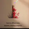 capps - @thomascapps3 - TikTok