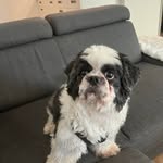 Thomas Carlsen - @thomascarlsen3 - Instagram
