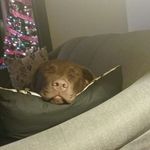 Thomas Carlsen - @thomas.carlsen.92 - Instagram
