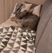 Thomas Carlsson - Facebook
