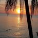 Thomas Carlsson - Facebook